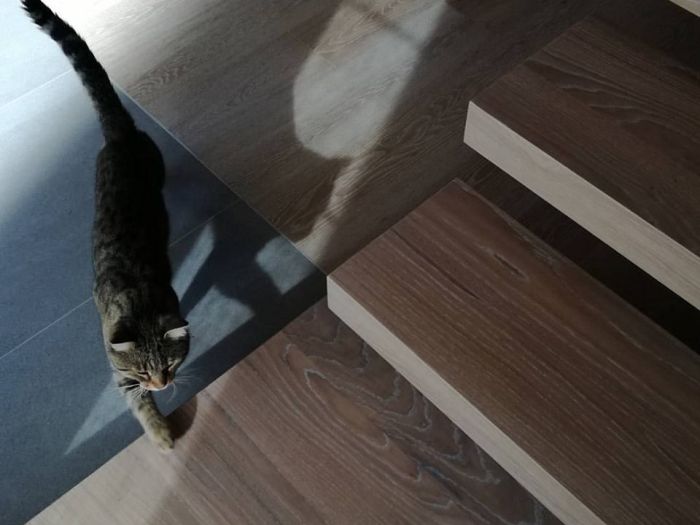 Archisio - Giorgio Mauro - Progetto Progetto di una casa a schiera per tre unit abitative