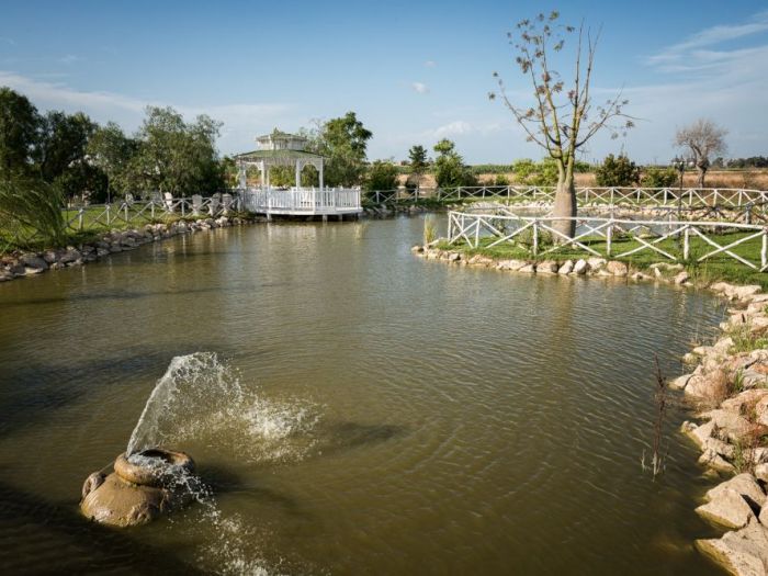 Archisio - Emiliano Allegrezza Photographer Videographer - Progetto Fotografia