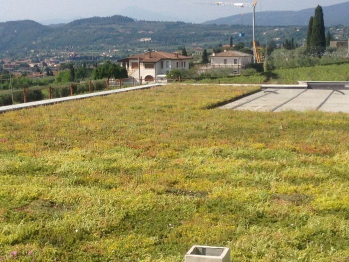 Archisio - Protego srl - Progetto Villa panoramica con tetto in soluzione giardino a basso spessore
