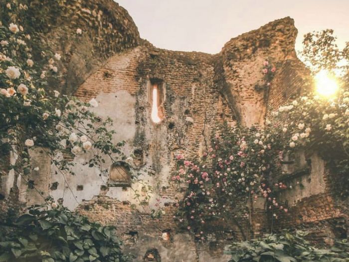 Archisio - Claudia Dibbe Piazza - Progetto Allinsegna di piet oudolf