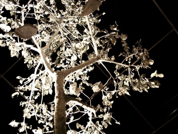 Archisio - Sonia Valente - Progetto Aa10