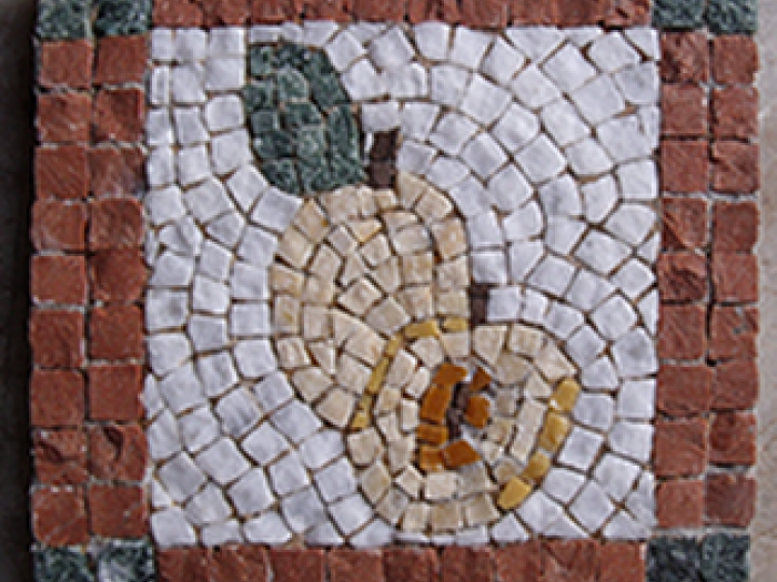 Archisio - Design On House - Progetto Mosaico