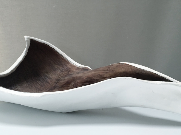 Archisio - Mariolina Fumo - Progetto Nature