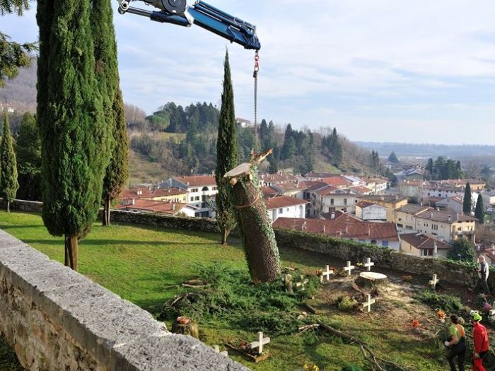 Archisio - Il Dottore Del Verde Di Bruno Barnaba - Progetto Abbattimento cedro monumento sisma 1976