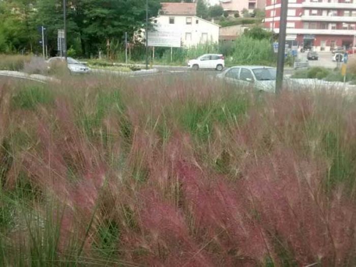 Archisio - Lucia Panzetta - Progetto Rotatoria di lanciano