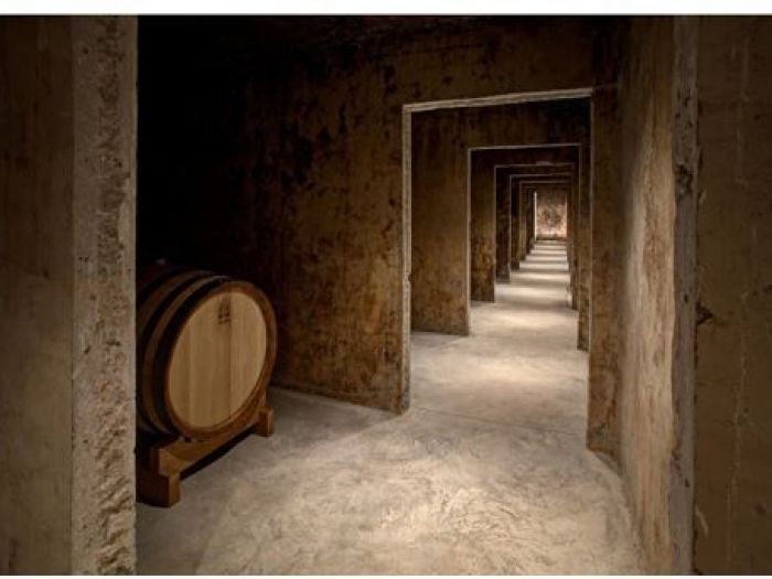 Archisio - Studio Ingrosso - Progetto Magistra vini