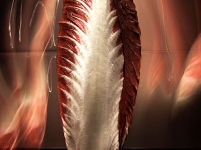 Archisio - Alessandro Donaggio Fine Art Photography - Progetto Still life