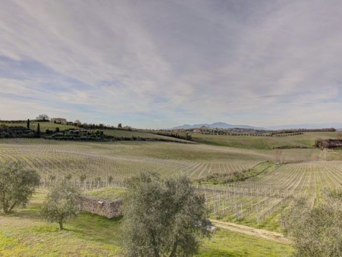 Archisio - Matteo Grande - Progetto Foto industriearchitettura