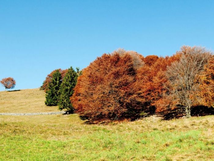 Archisio - Semplicemente Legno - Progetto Abitazioni 3