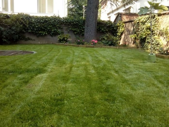 Archisio - I Giardini Dei Tudor - Progetto Realizzazione di giardino