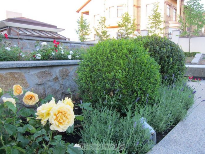 Archisio - Architetto Del Paesaggio Designer Del Verde - Progetto Giardino privato 1