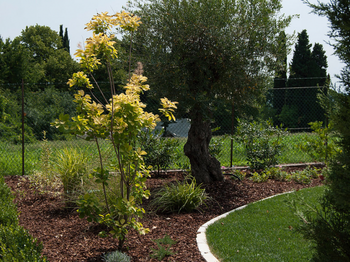 Archisio - Lugo Architettura Del Paesaggio - Progetto Realizzazione-ville e case private