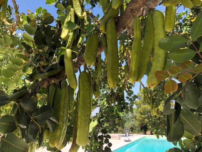 Archisio - Vito Nacci - Progetto Ristrutturazione casale depoca