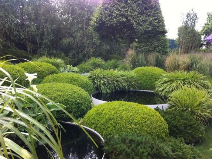 Archisio - Carlo Maria Maggia - Progetto Giardini