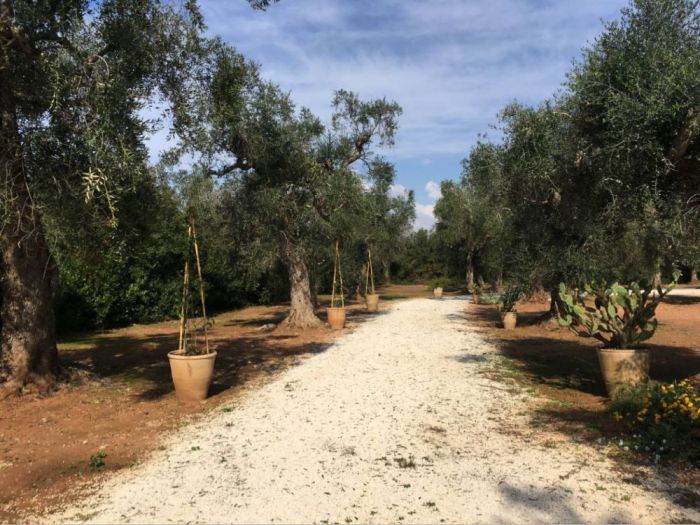 Archisio - Gabriele Fanuli - Progetto Sulla serra di spongano