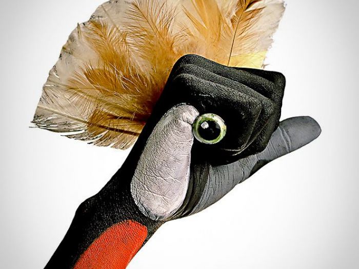 Archisio - Andrea Sabatello - Progetto Stills