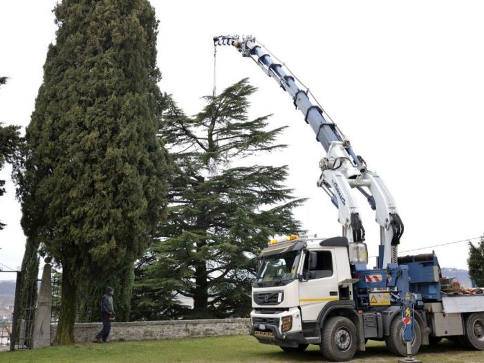 Archisio - Il Dottore Del Verde Di Bruno Barnaba - Progetto Abbattimento cedro monumento sisma 1976