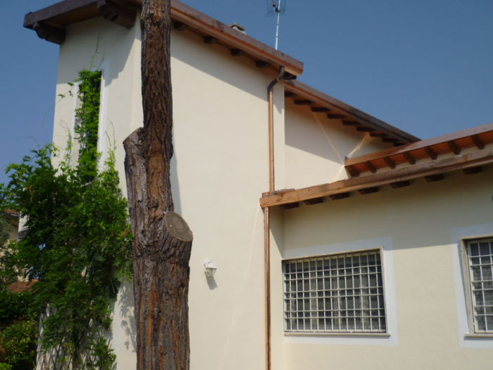 Archisio - Torzoni Costruzioni - Progetto Forte dei marmiManutenzione straordinaria