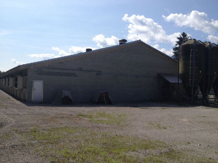 Archisio - Edilcasa Snc - Progetto Complesso agricolo la pellegrina gruppo veronesi bes belluno