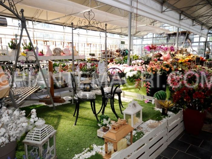 Archisio - Piante Macri - Progetto Il garden