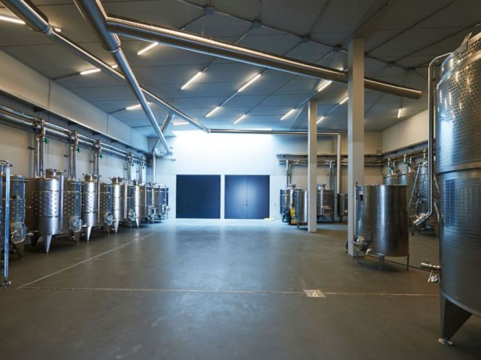 Archisio - Manuel Benedikter - Progetto Vineyard cobue