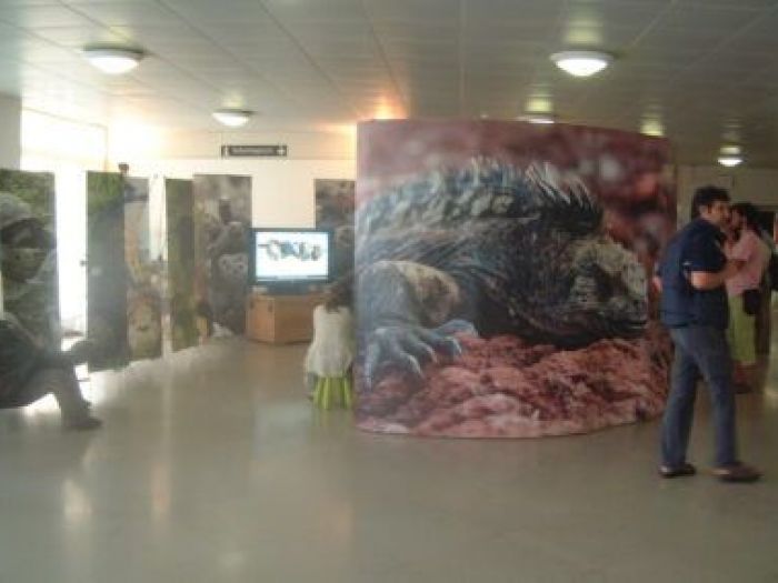 Archisio - Leolab - Progetto Minidarwin