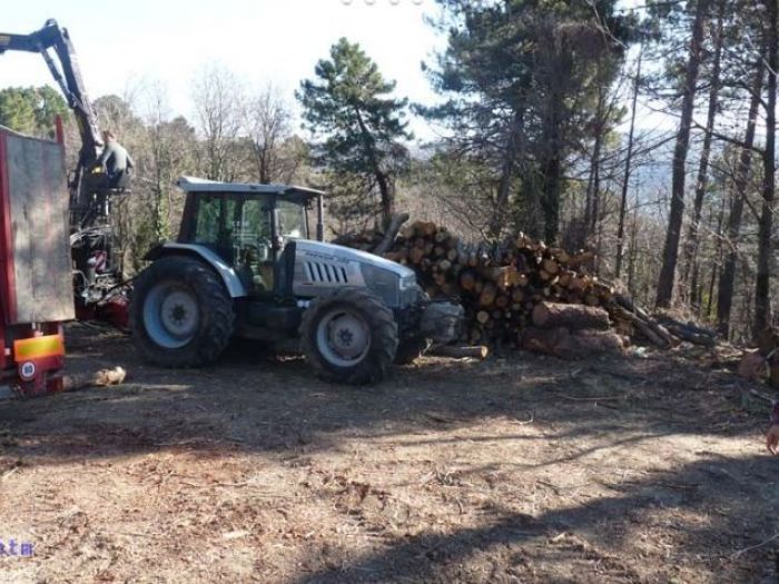 Archisio - Edilizia Ctm srl - Progetto Sistemazioni aree verdi