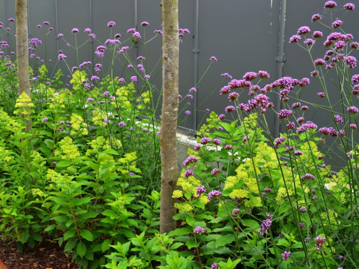 Archisio - Lugo Architettura Del Paesaggio - Progetto Realizzazione-ville e case private