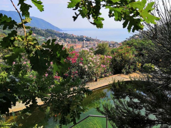 Archisio - Progettare Spazi Verdi - Progetto Il museo verde