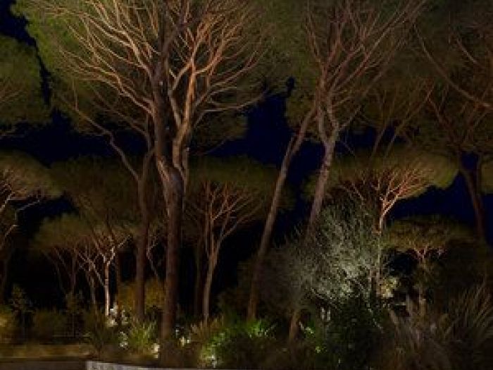 Archisio - Marco Gualtieri - Progetto Foto