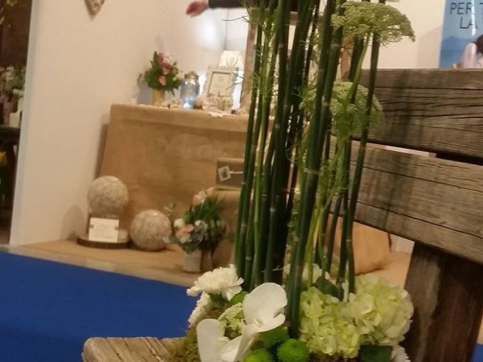 Archisio - Massarroni - Vivai Piante - Garden - Progetto Vivai e piante