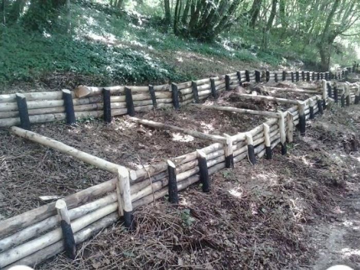 Archisio - Edilizia Ctm srl - Progetto Ingegneria naturalistica