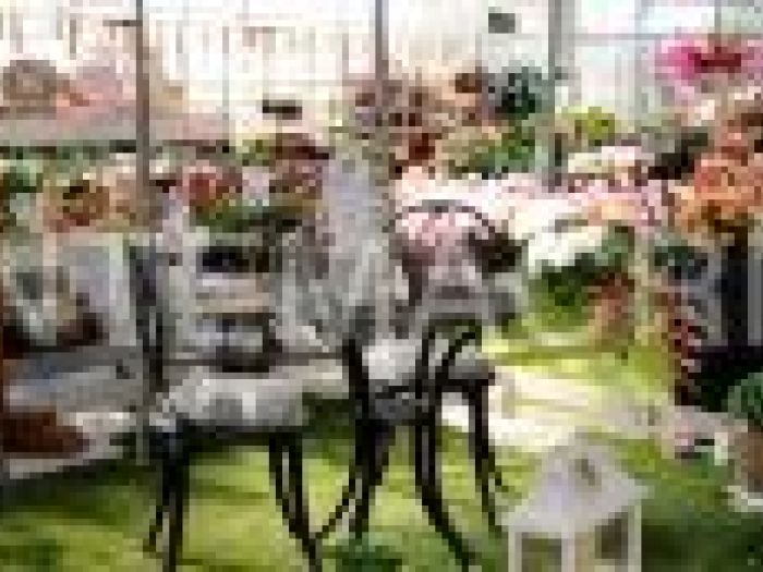 Archisio - Piante Macri - Progetto Il garden