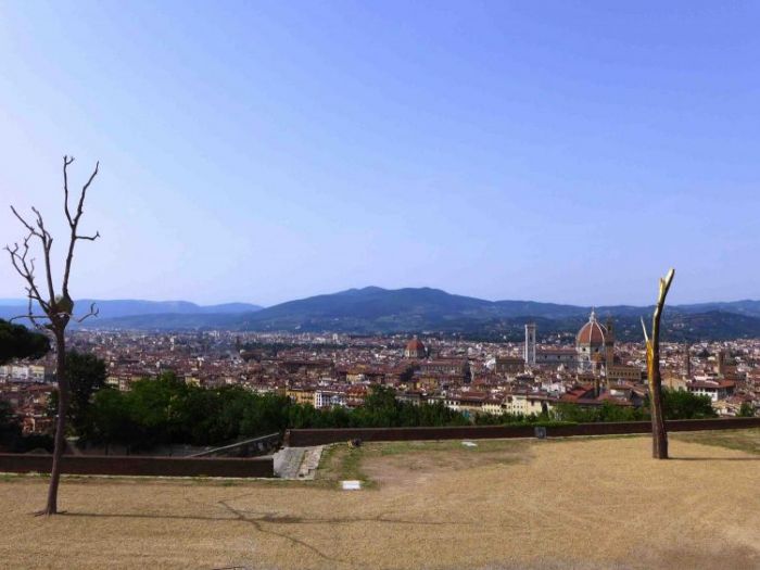 Archisio - Zeno Pucciarchitects - Progetto Mostra prospettiva vegetale giuseppe penone