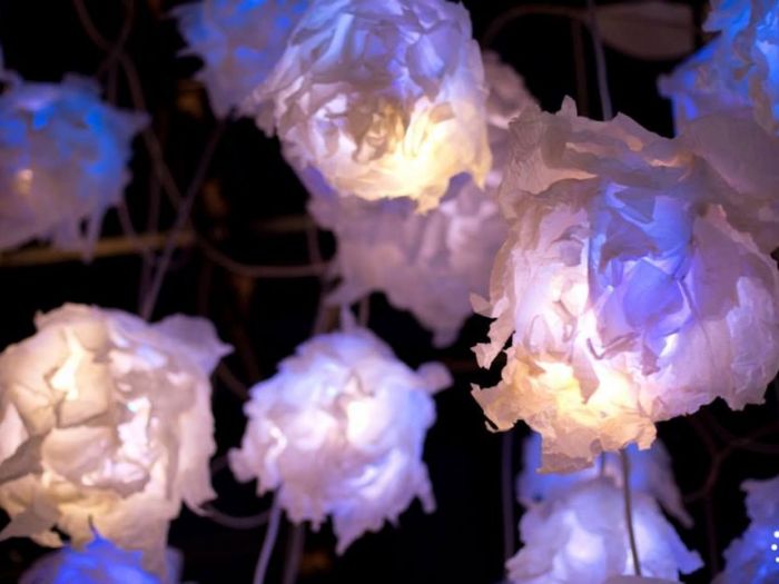 Archisio - Serena Fanara - Progetto Illuminami