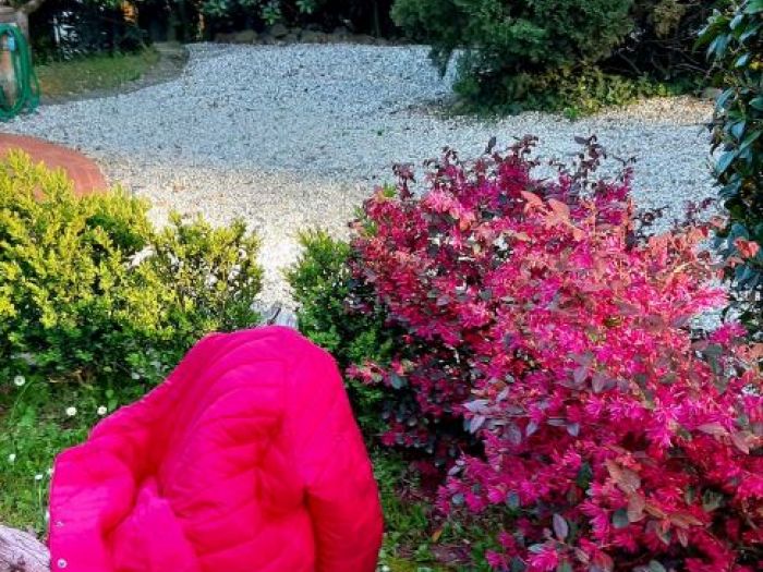 Archisio - Simone Scardigli - Progetto Casastudio