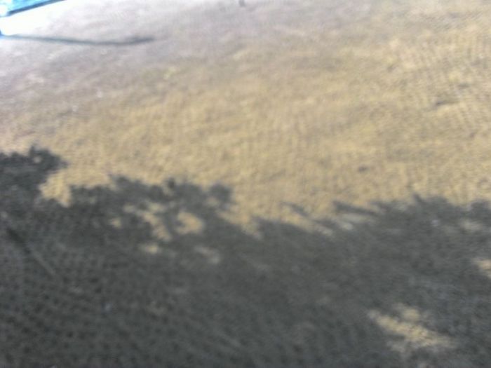 Archisio - Claudio Raiteri Verde Giardino - Progetto Irrigazione rigenerazione pratorigenerazione pratotree climbingisolamento solai