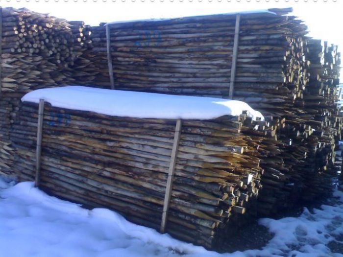 Archisio - Edilizia Ctm srl - Progetto Paleria