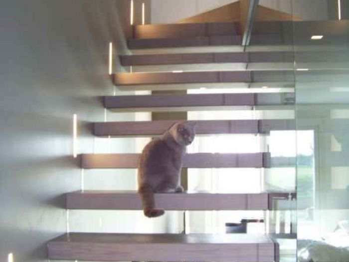 Archisio - Studio Antepost - Progetto Rassegna scale