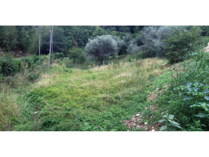 Archisio - Davide Stona - Progetto Sistemazione fondo agricolo