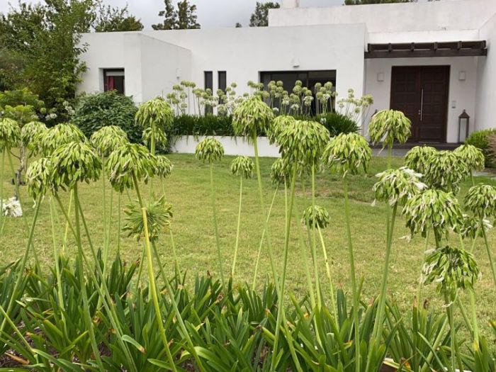 Archisio - Claudia Dibbe Piazza - Progetto Storica dellarte ed ingegnere agronomo Paesaggismo e home decor counselling