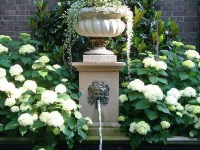 Archisio - Vivai Cantatore - Progetto Piante