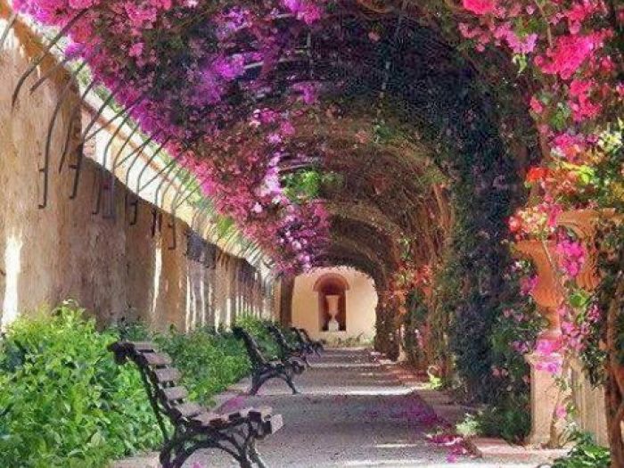 Archisio - Vivai Cantatore - Progetto Piante