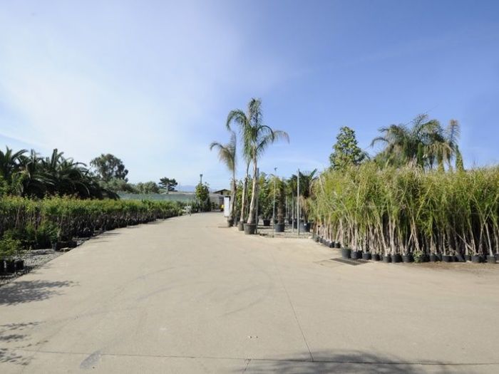 Archisio - Piante Macri - Progetto Il vivaio