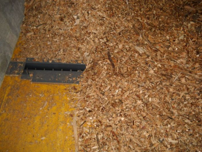 Archisio - Gps Di Graziola Paolo C Snc - Progetto Rinnovabili