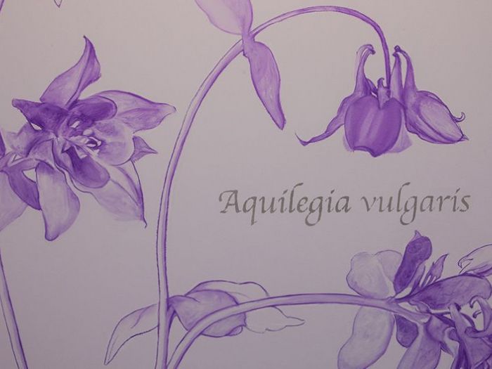 Archisio - Roberto Bua - Mjras - Progetto Alma-tadema e i pittori dell800 inglese collezione prez simn