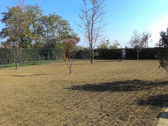 Archisio - Claudio Raiteri Verde Giardino - Progetto Irrigazione rigenerazione pratorigenerazione pratotree climbingisolamento solai