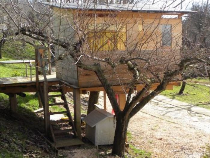 Archisio - Casalberi - Progetto Casetta sul noce