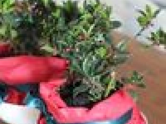 Archisio - Francesca Ianni - Progetto Interior design e outdoor