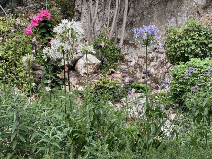 Archisio - Claudia Dibbe Piazza - Progetto Villa bianca